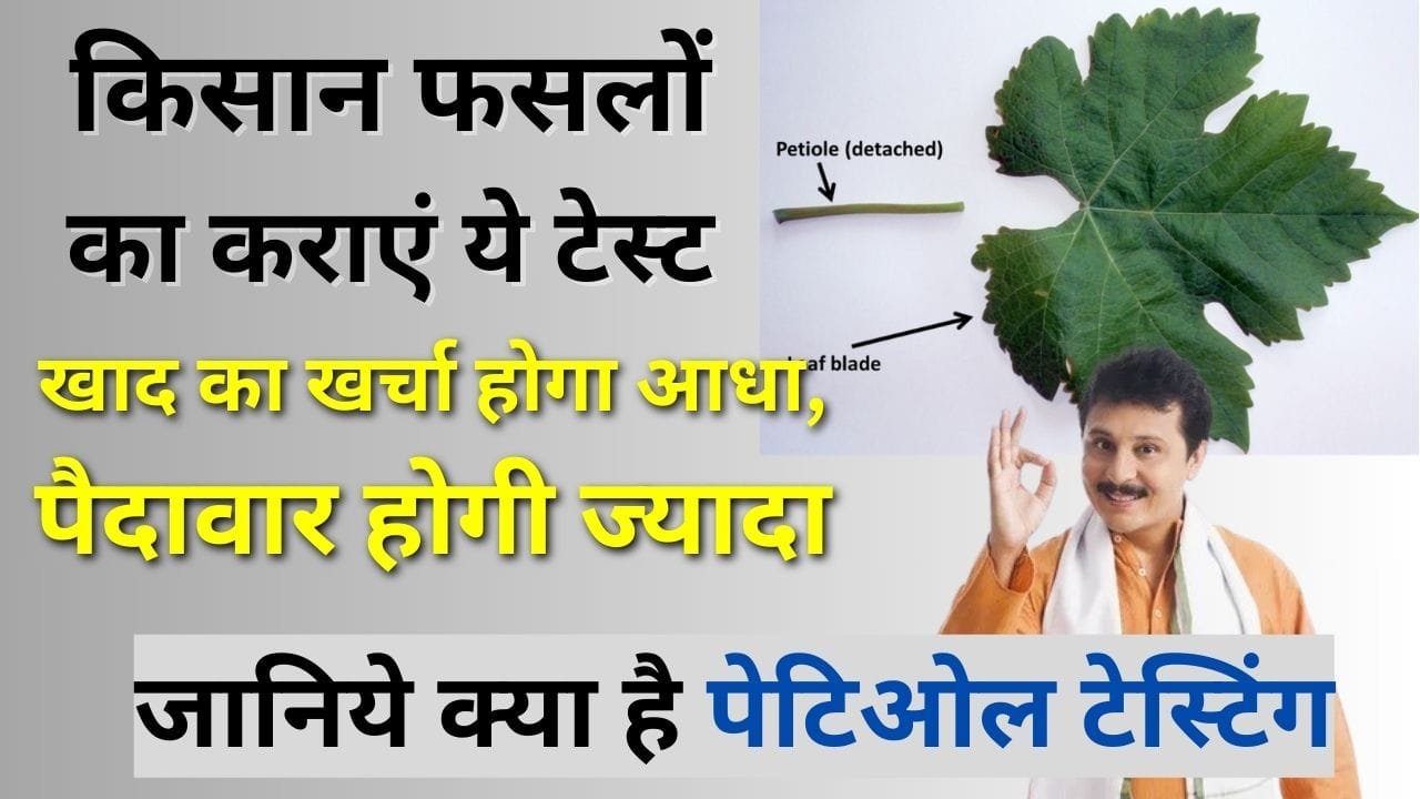 पेटिओल टेस्टिंग क्या है?