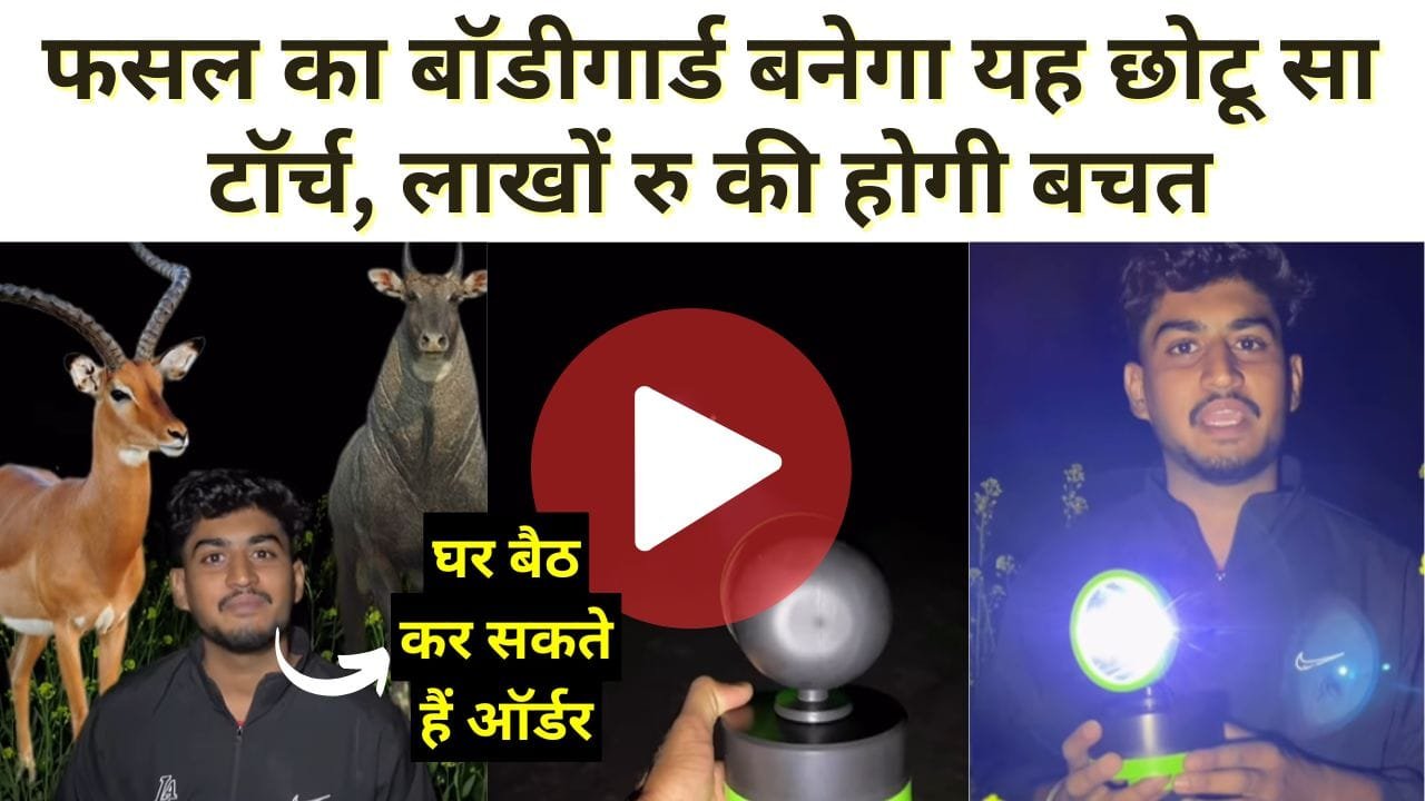 पोर्टेबल एलईडी लाइट