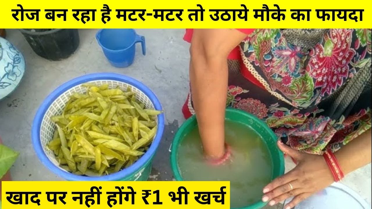 मटर के छिलके की खाद