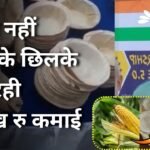 मक्के के छिलके