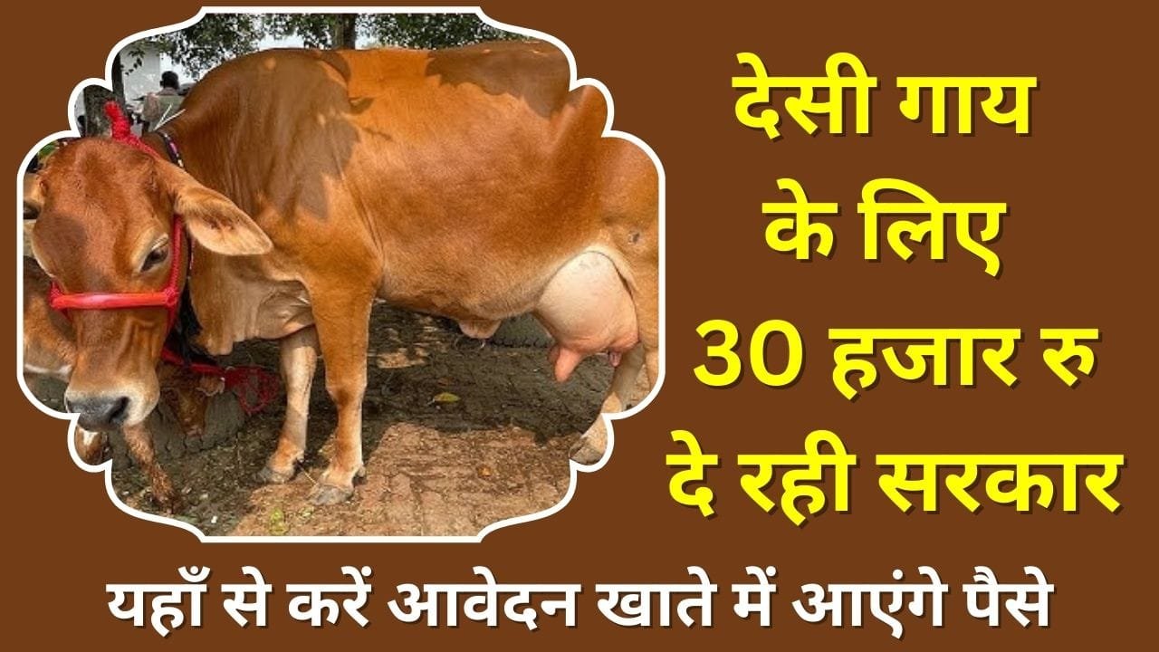 मेरी फसल-मेरा ब्योरा