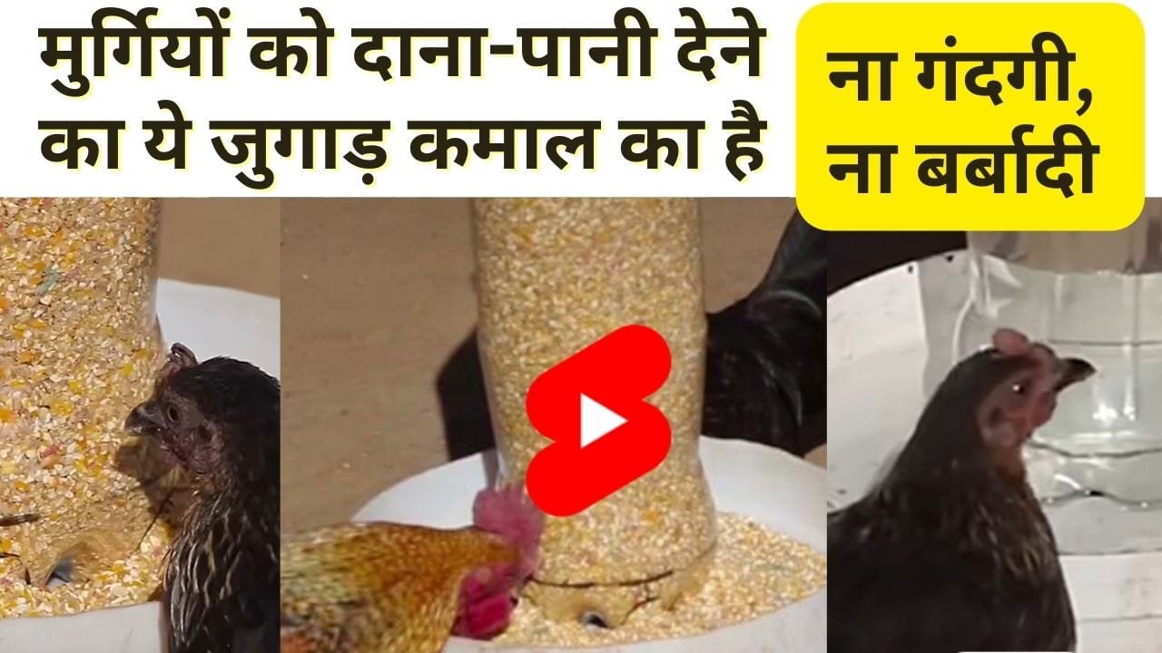 दाना-पानी देने का जुगाड़