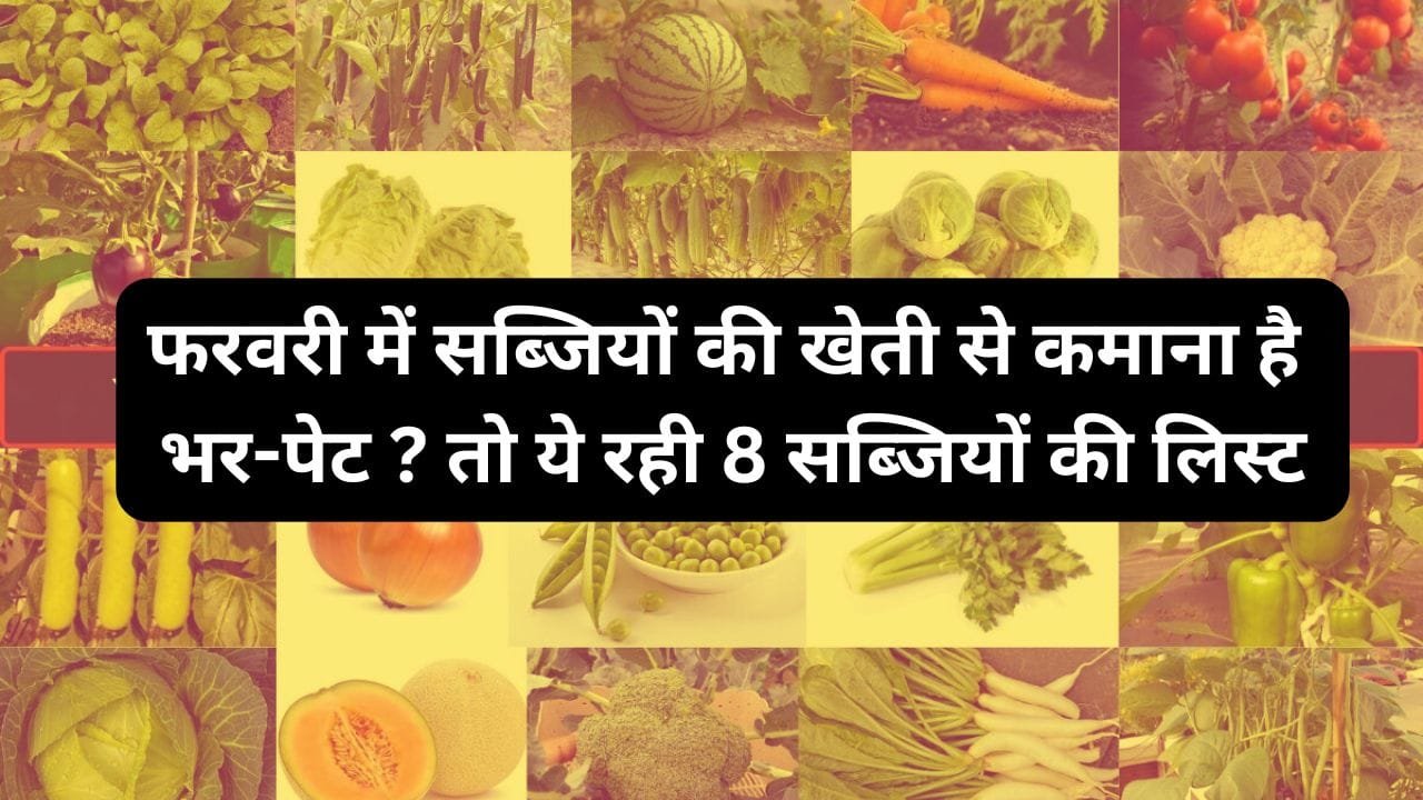 फरवरी में सब्जियों की खेती