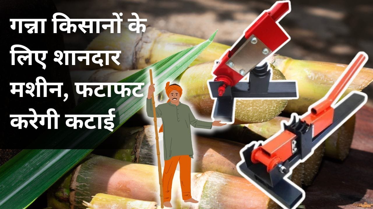 सुगरकेन कटिंग मशीन