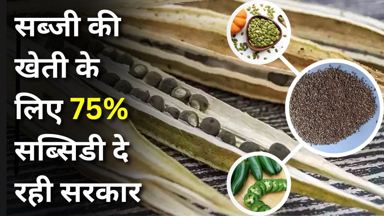 सब्जियों की खेती पर सब्सिडी