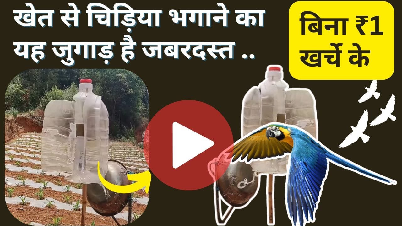 चिड़िया भगाने का जुगाड़