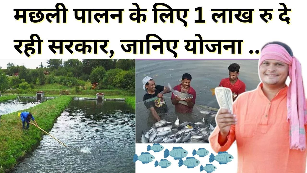 मुख्यमंत्री मत्स्य संपदा योजना