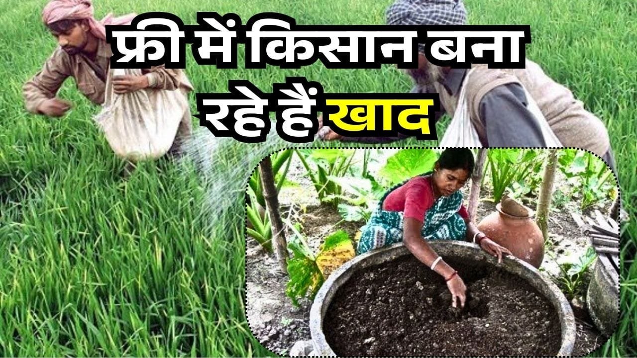 जैविक खाद