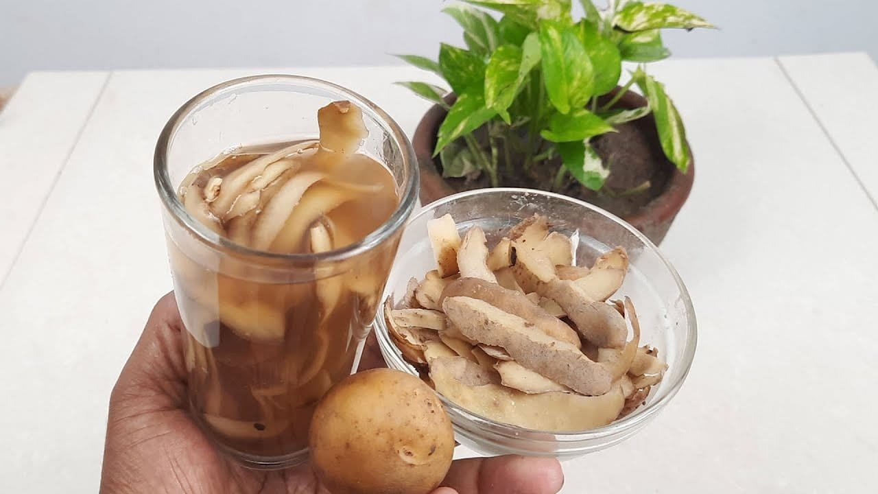 लिक्विड फर्टिलाइजर