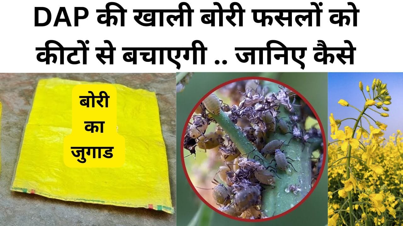 देसी जुगाड़