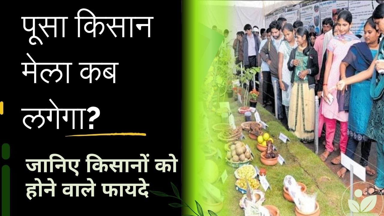 पूसा किसान मेला कब लगेगा?