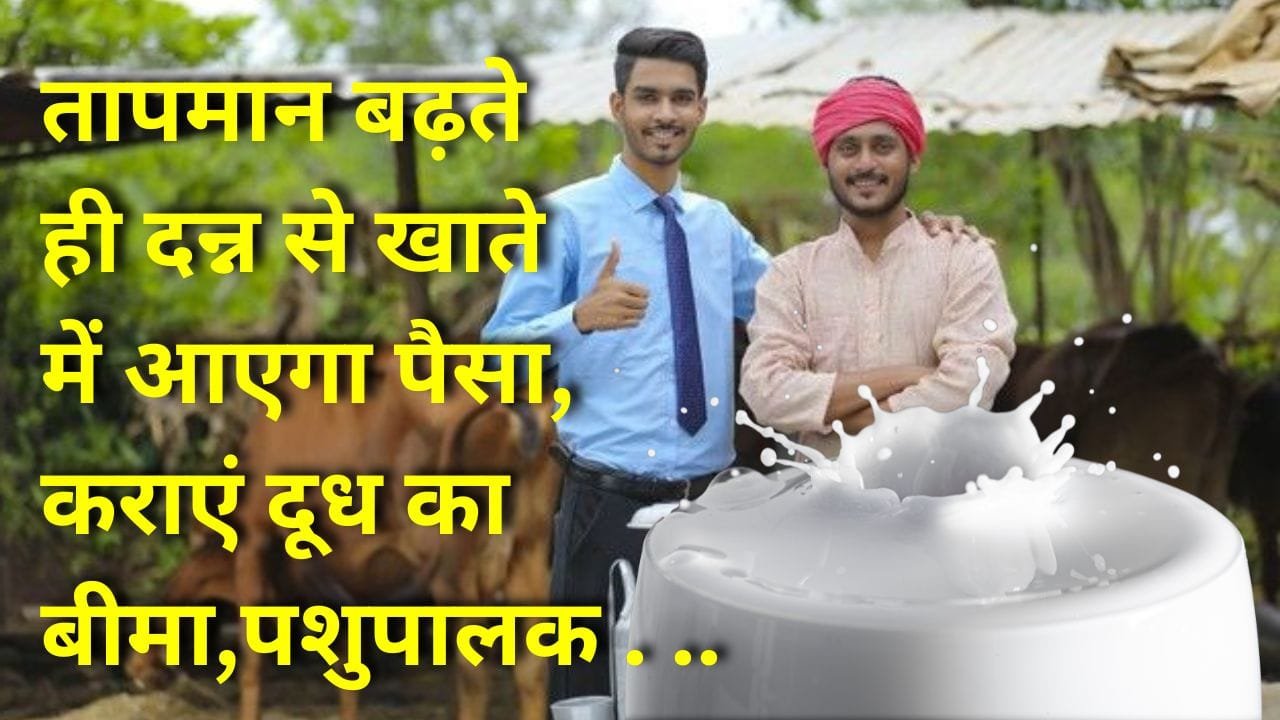 हीट इंडेक्स बीमा योजना