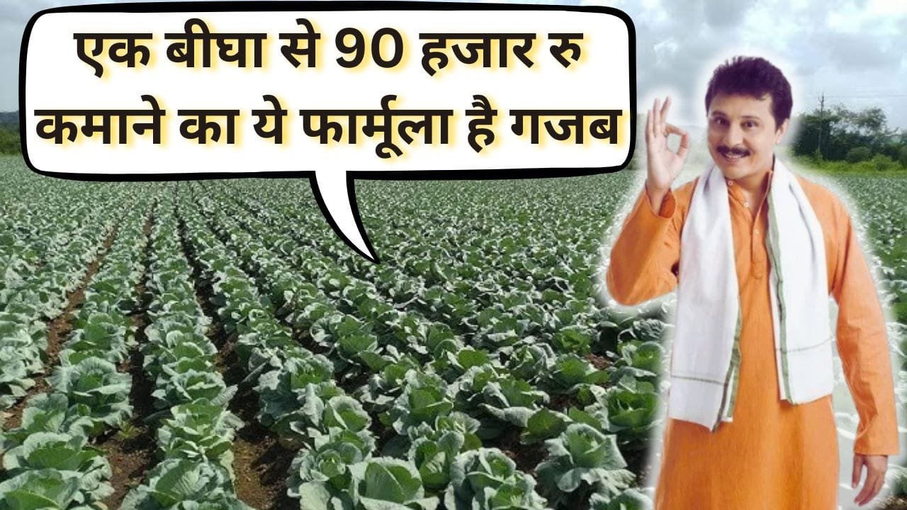 पत्ता गोभी