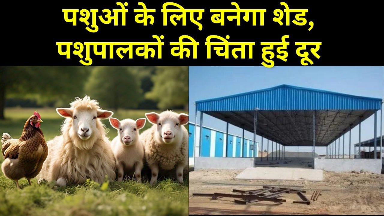 टीन शेड पर अनुदान