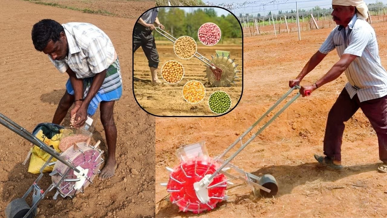 मानव संचालित बीज बुवाई