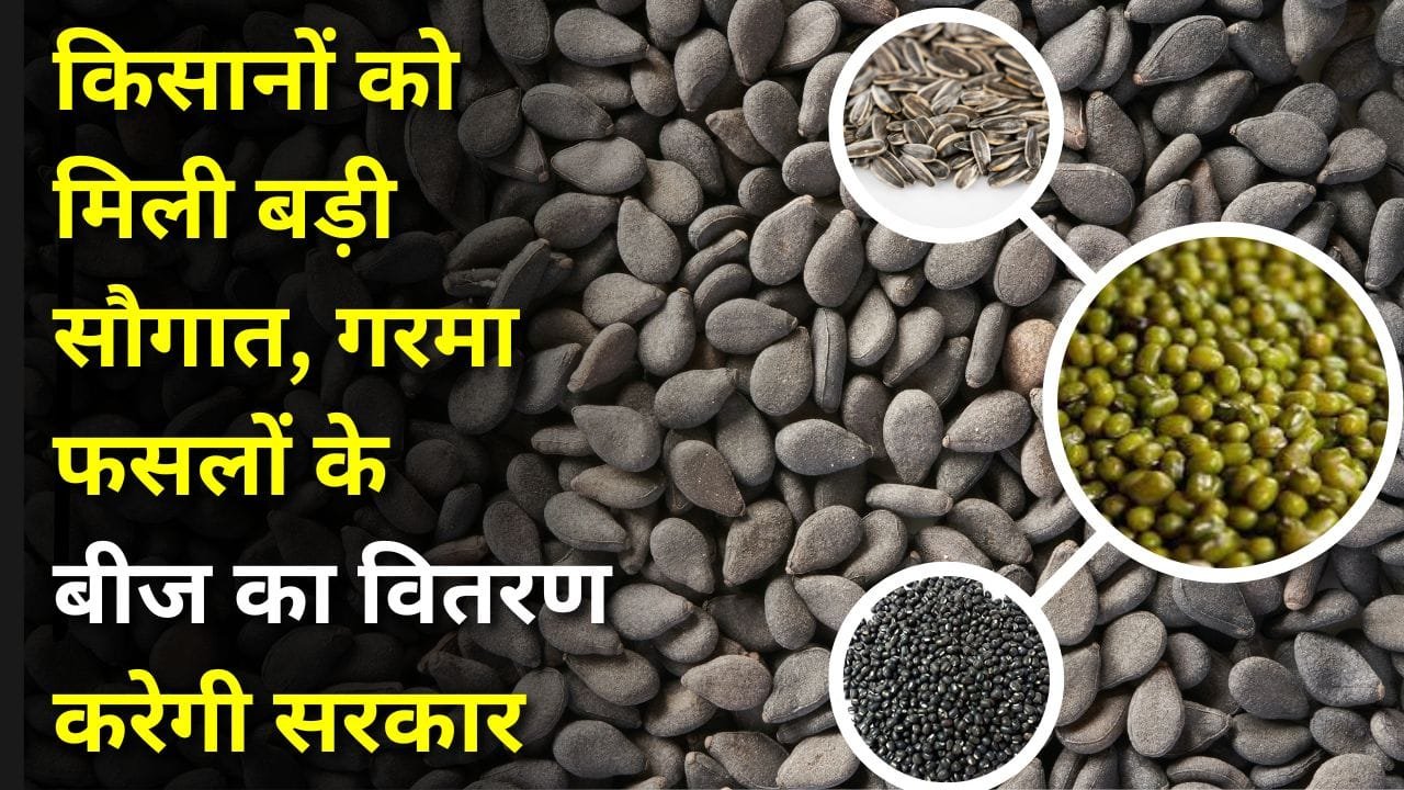 बिहार राज्य सरकार