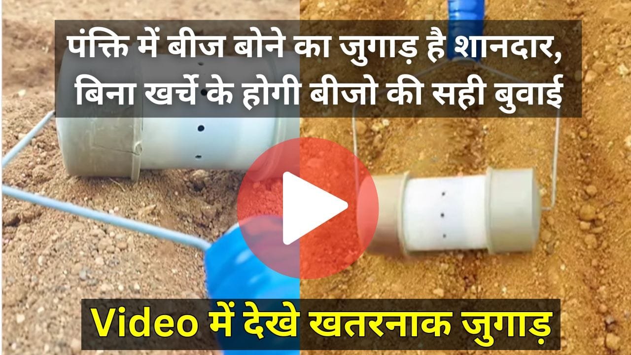 पंक्ति में बीज बोने के फ़ायदे