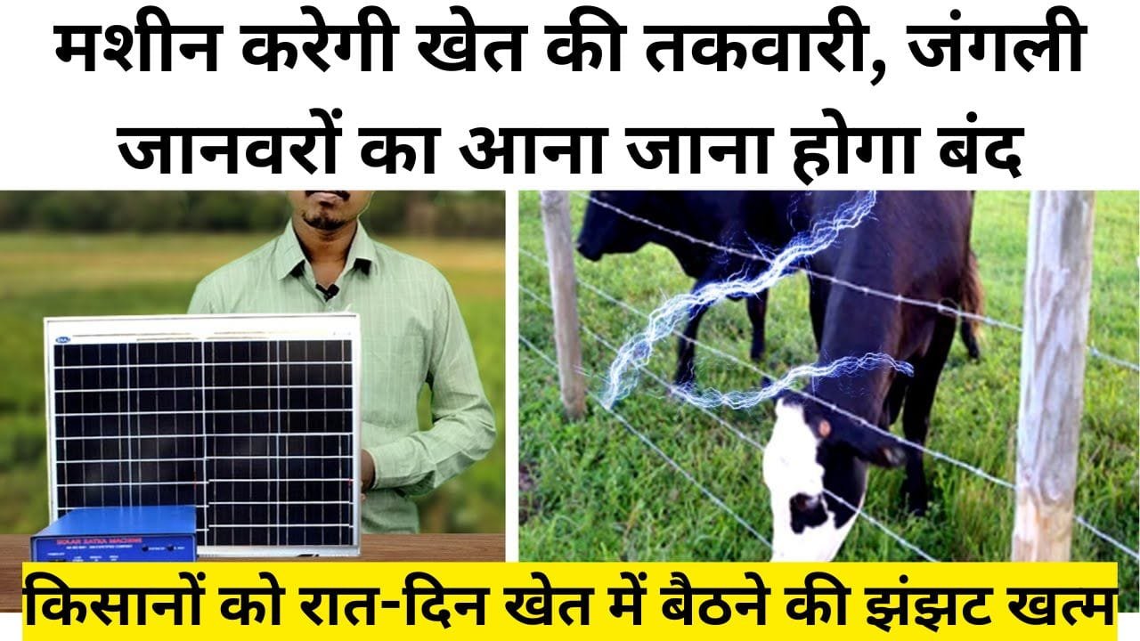 झटका मशीन