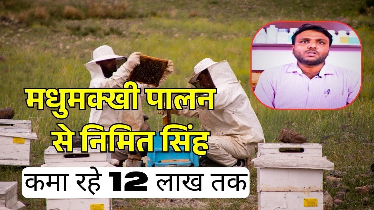 मधुमक्खी पालन में कमाई