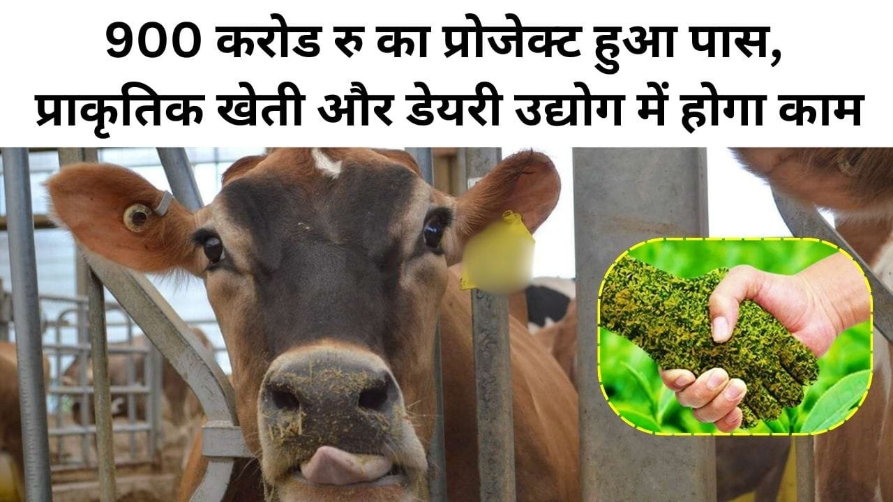 प्राकृतिक खेती