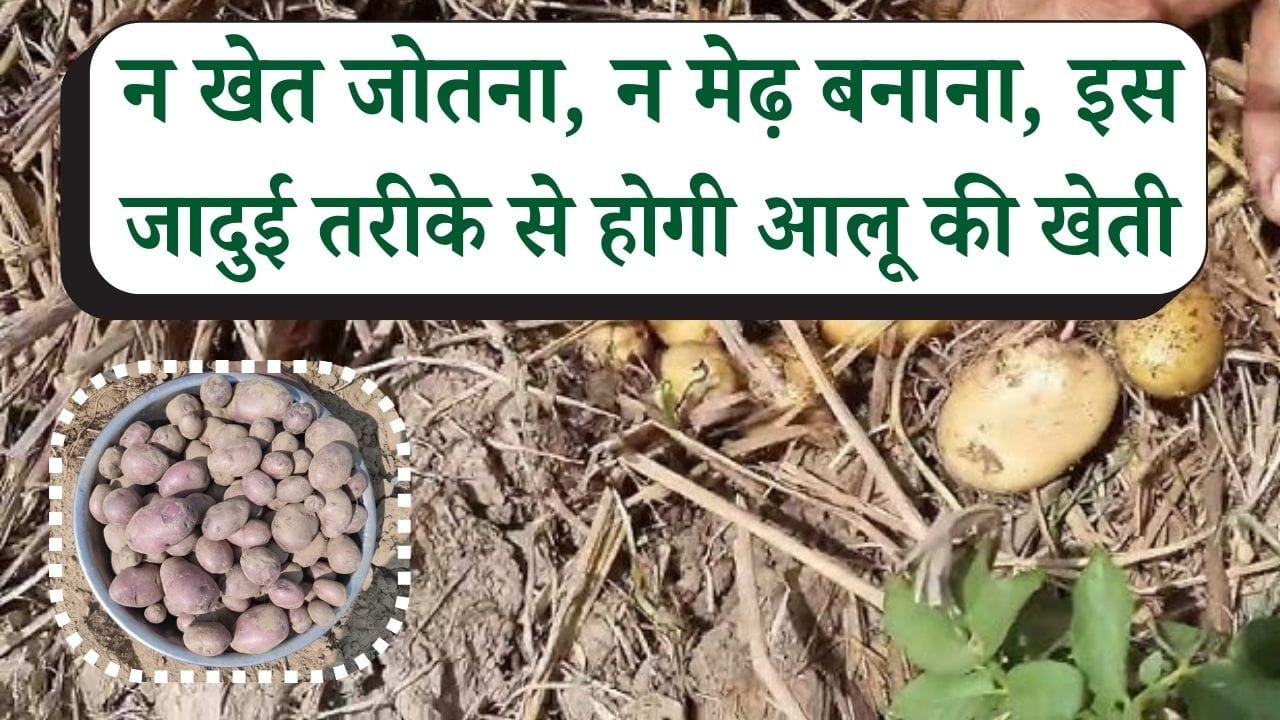 कृषि वैज्ञानिक