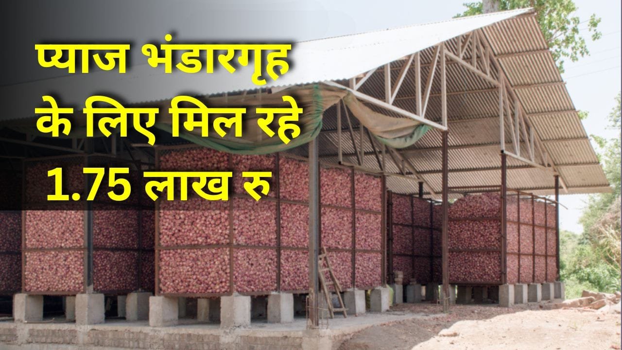 प्याज भंडारगृह पर अनुदान