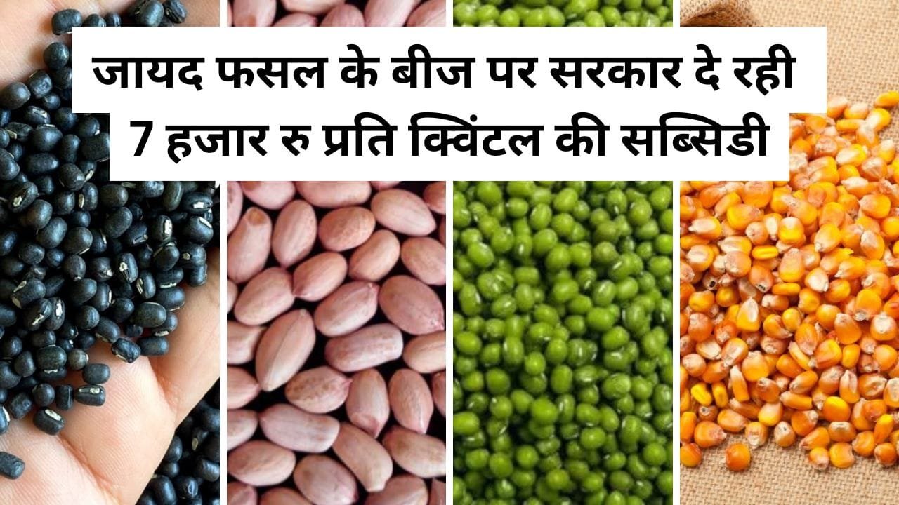 बीज पर अनुदान