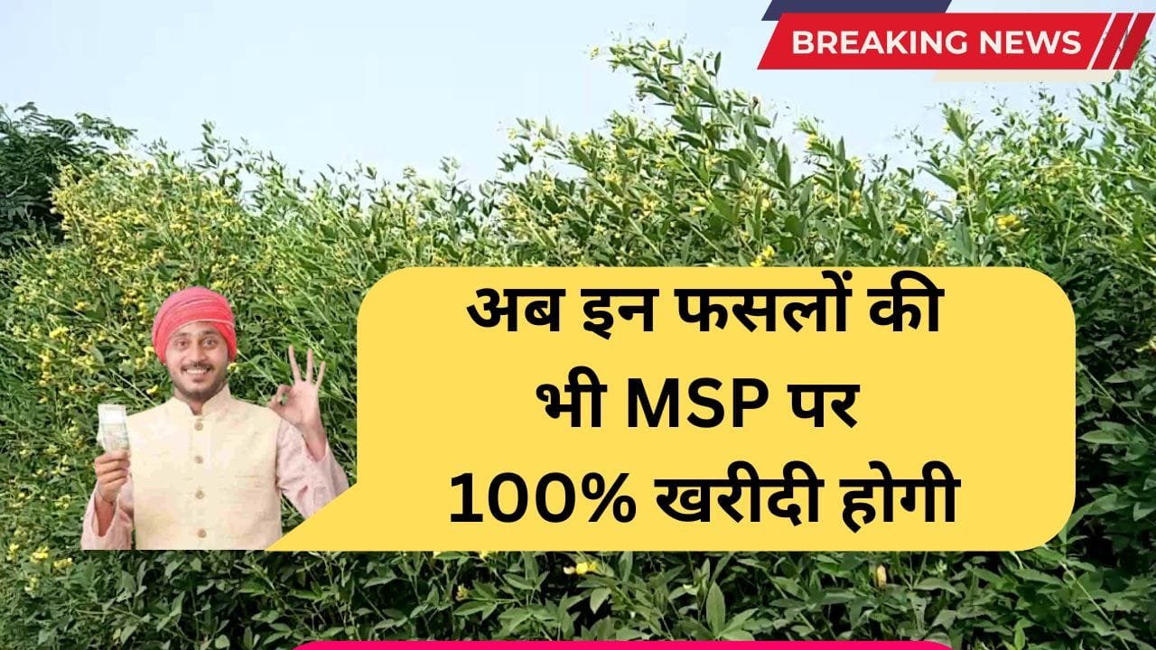 दलहन फसल