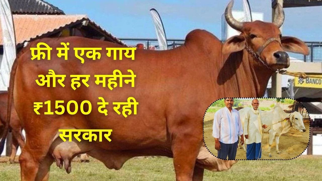 गोवंश सहभागिता योजना