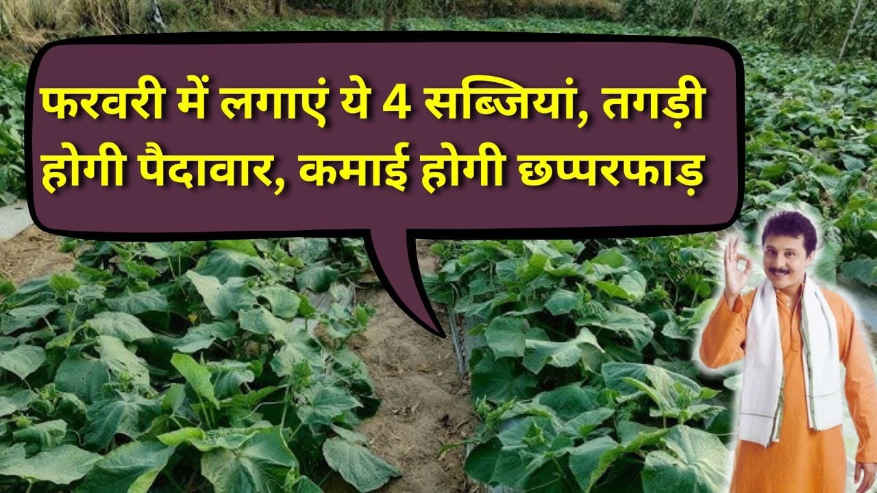 फरवरी में सब्जियों की खेती