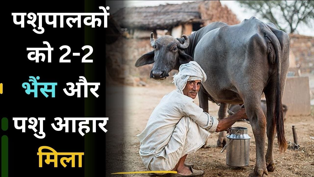 मुख्यमंत्री दुधारू पशु प्रदाय योजना