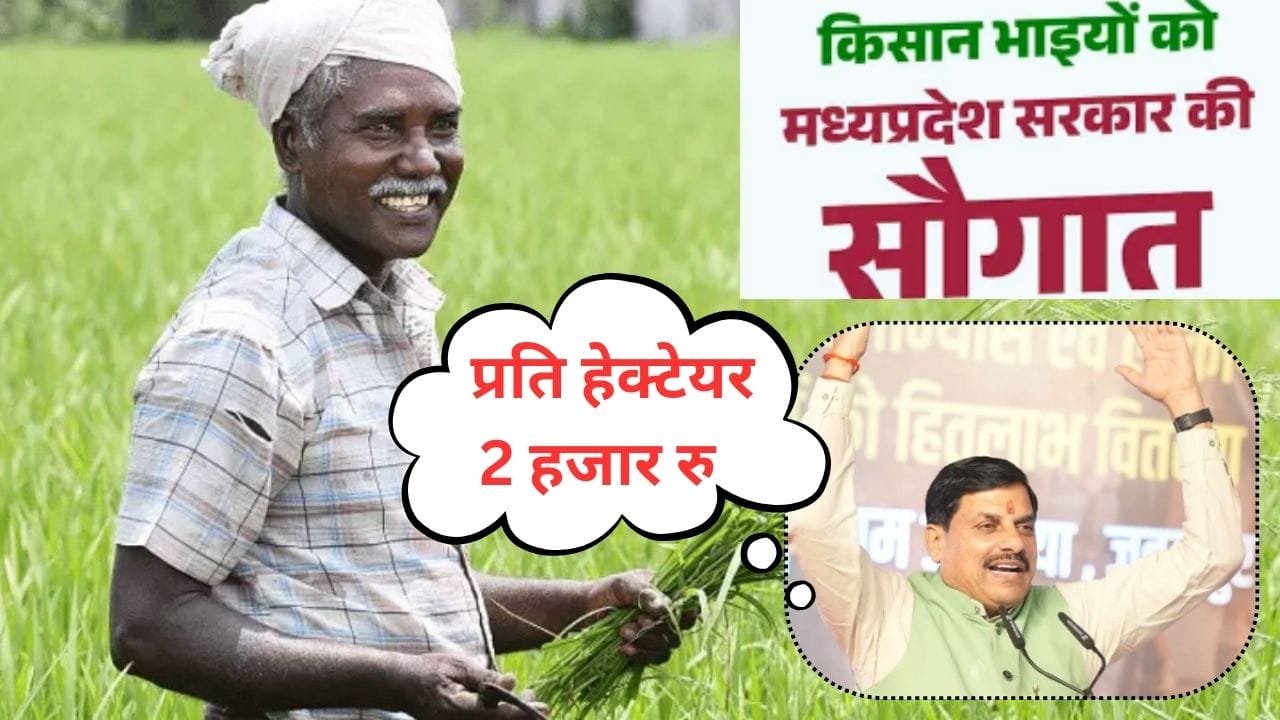 सीएम डॉ मोहन यादव