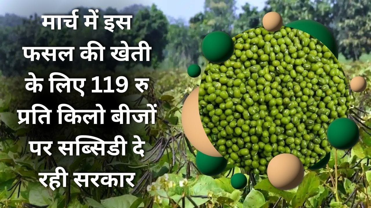 बीजों पर सब्सिडी