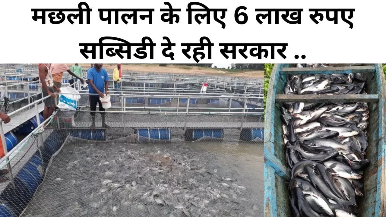 मछली पालन पर सब्सिडी