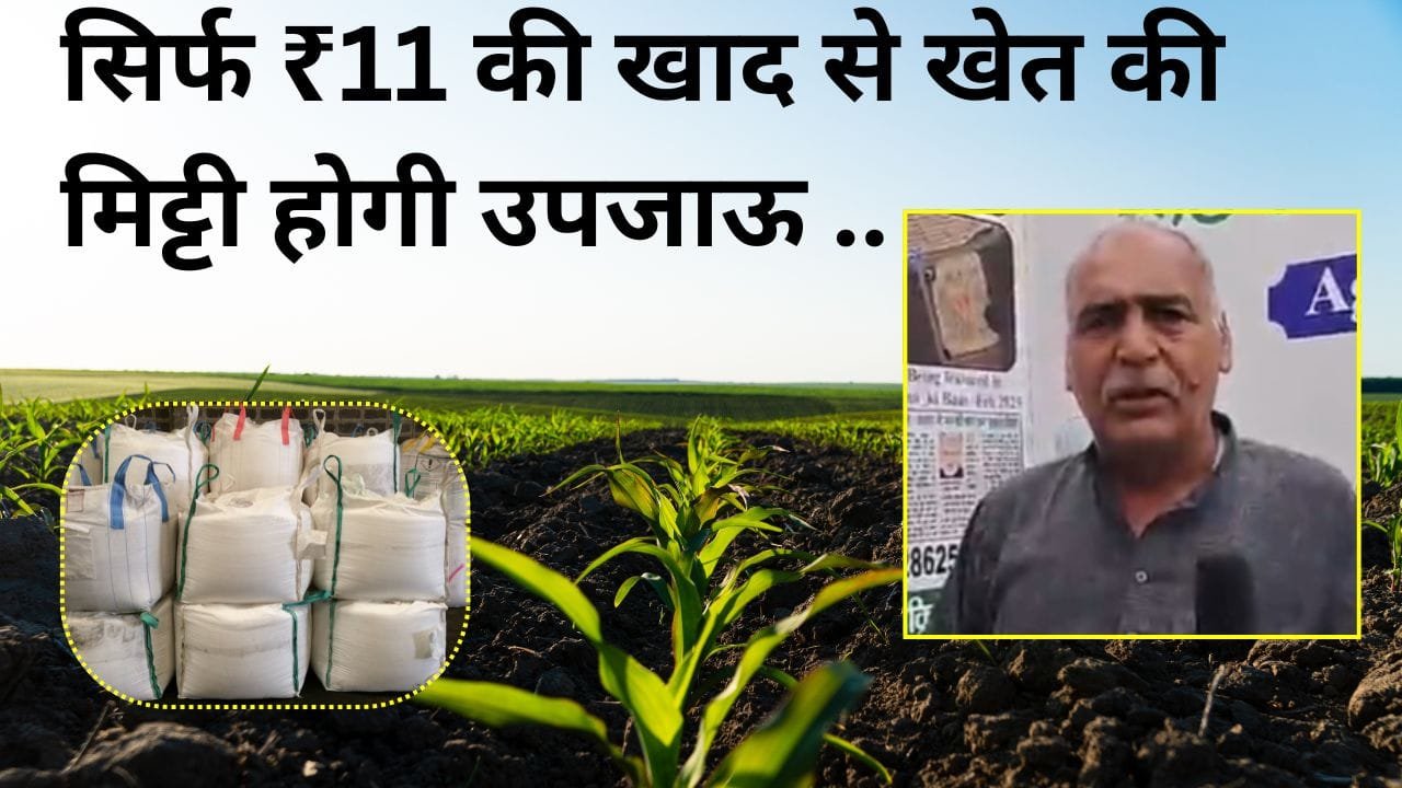 पूसा कृषि मेला