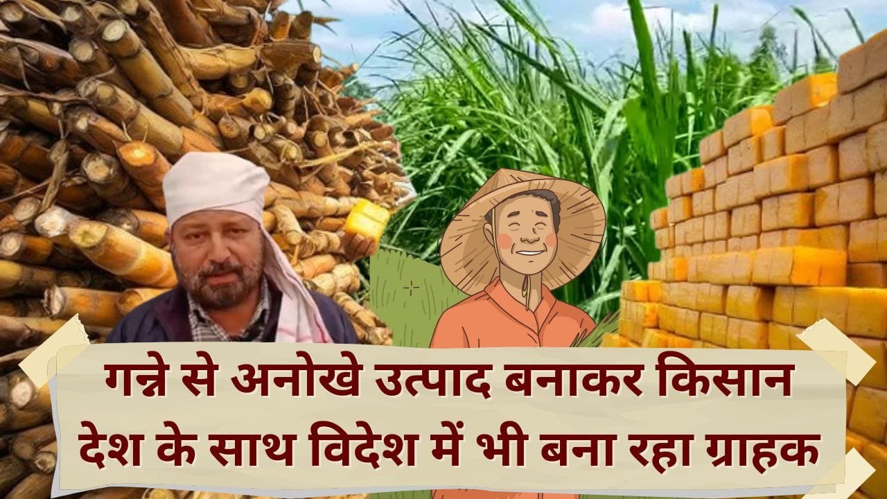 फैमिली फार्मर