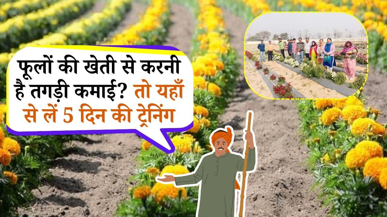 फूलों की खेती के लिए ट्रेनिंग