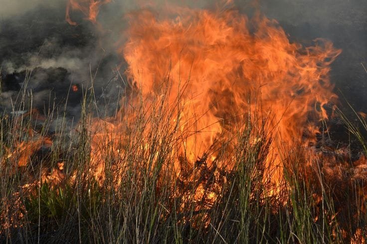 फायर ब्रिगेड