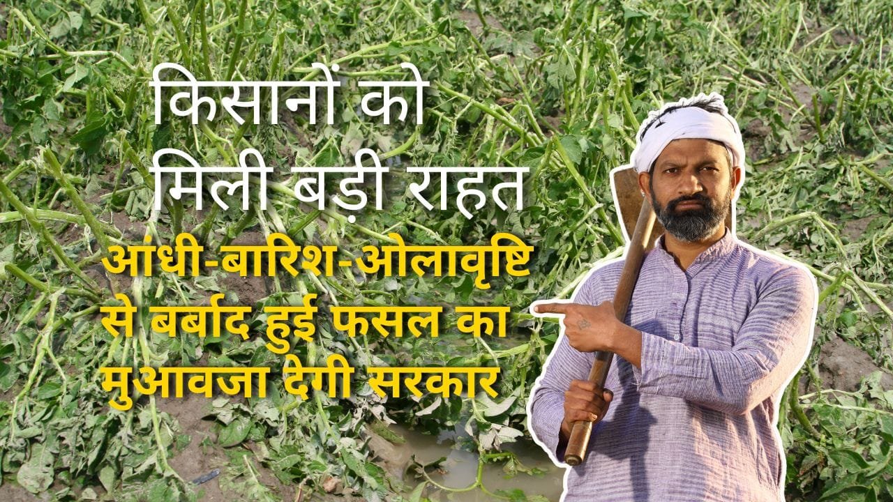 किसानों को मुआवजा