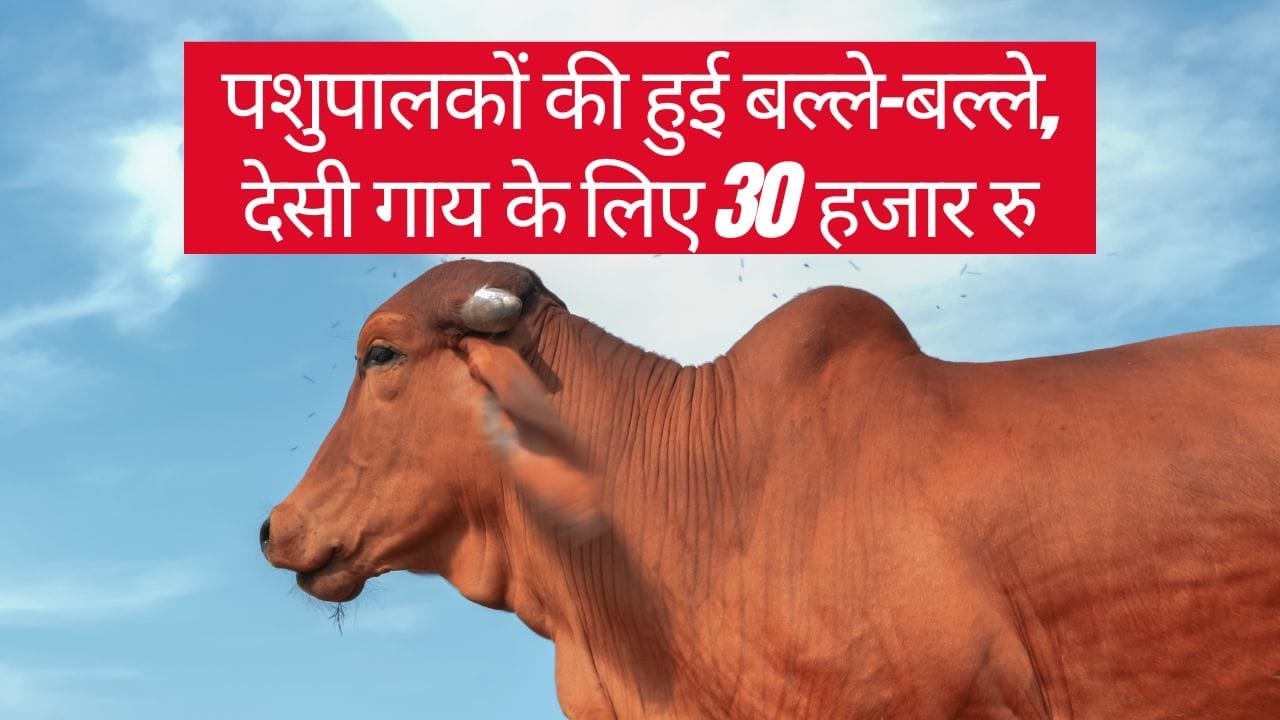 हरियाणा