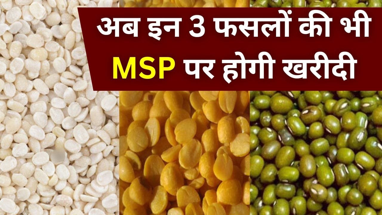 बिहार बजट 2025