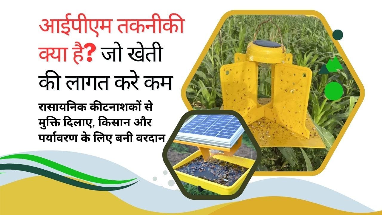 स्टिकी ट्रैप