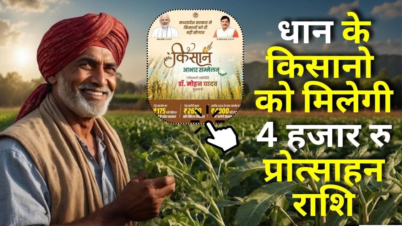 खरीफ 2024 के धान उपार्जन