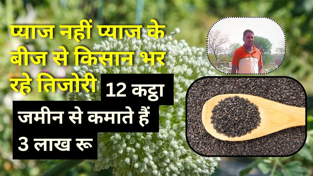 प्याज की खेती