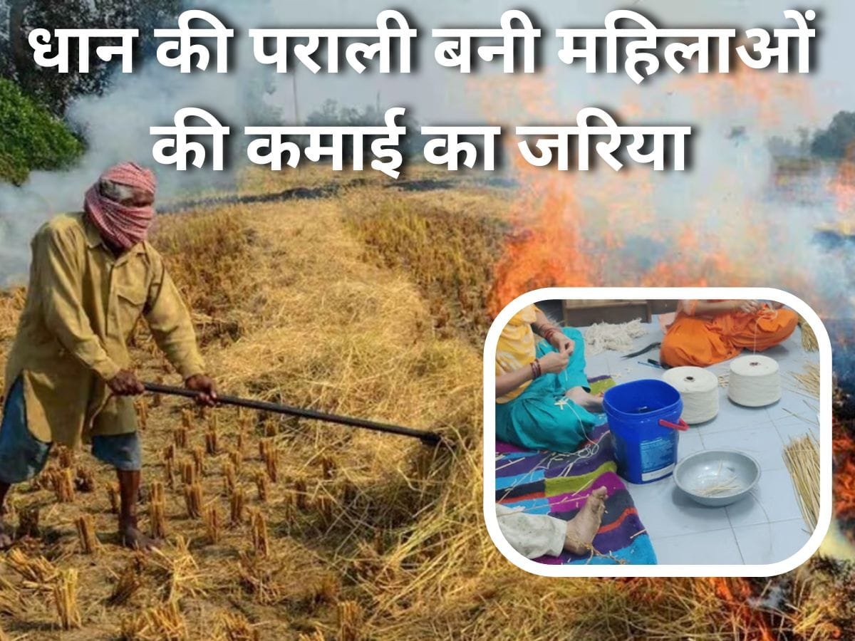 रूट्स फाउंडेशन