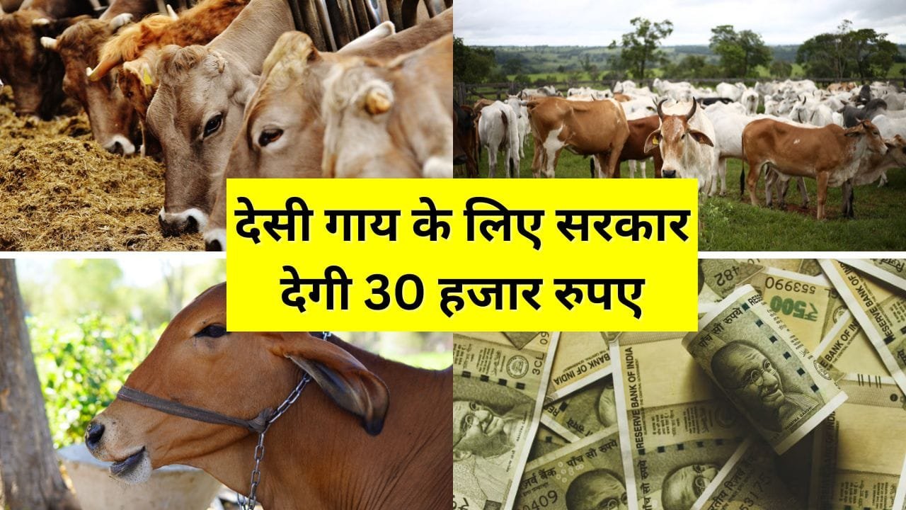 प्राकृतिक खेती