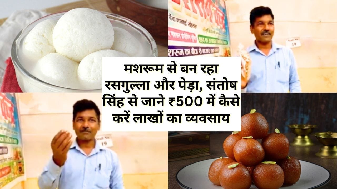 मशरूम की खेती