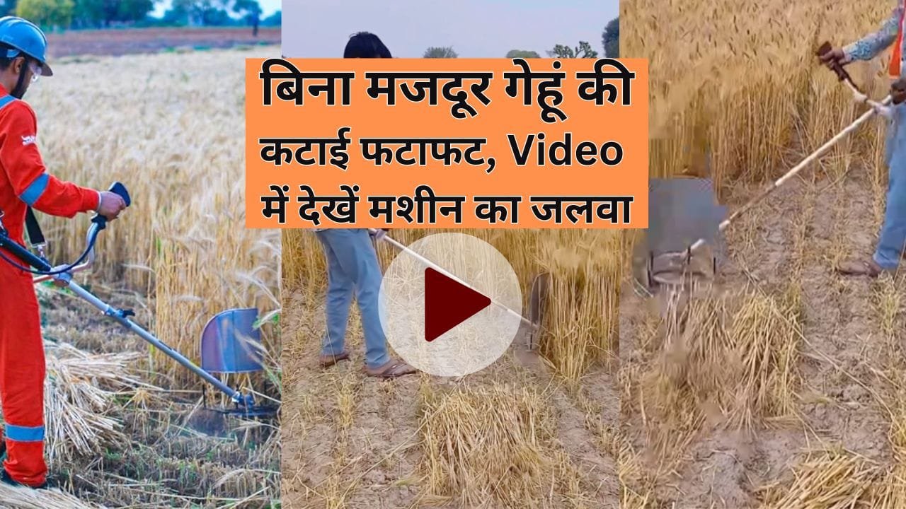 ब्रश कटर- गेहूं काटने की मशीन