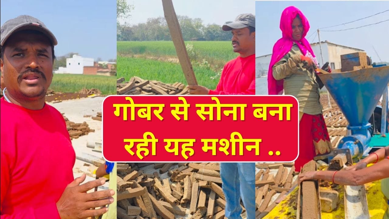 गौकाष्ठ