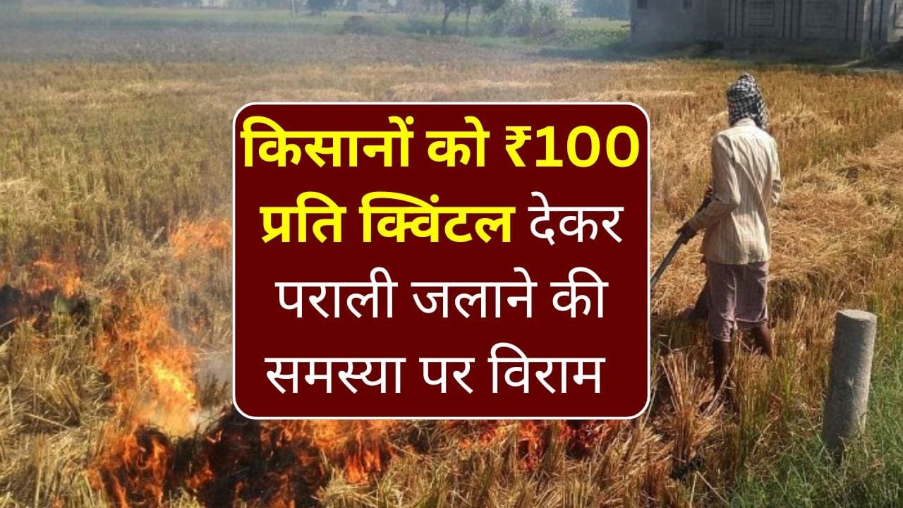 संसदीय स्थायी समिति